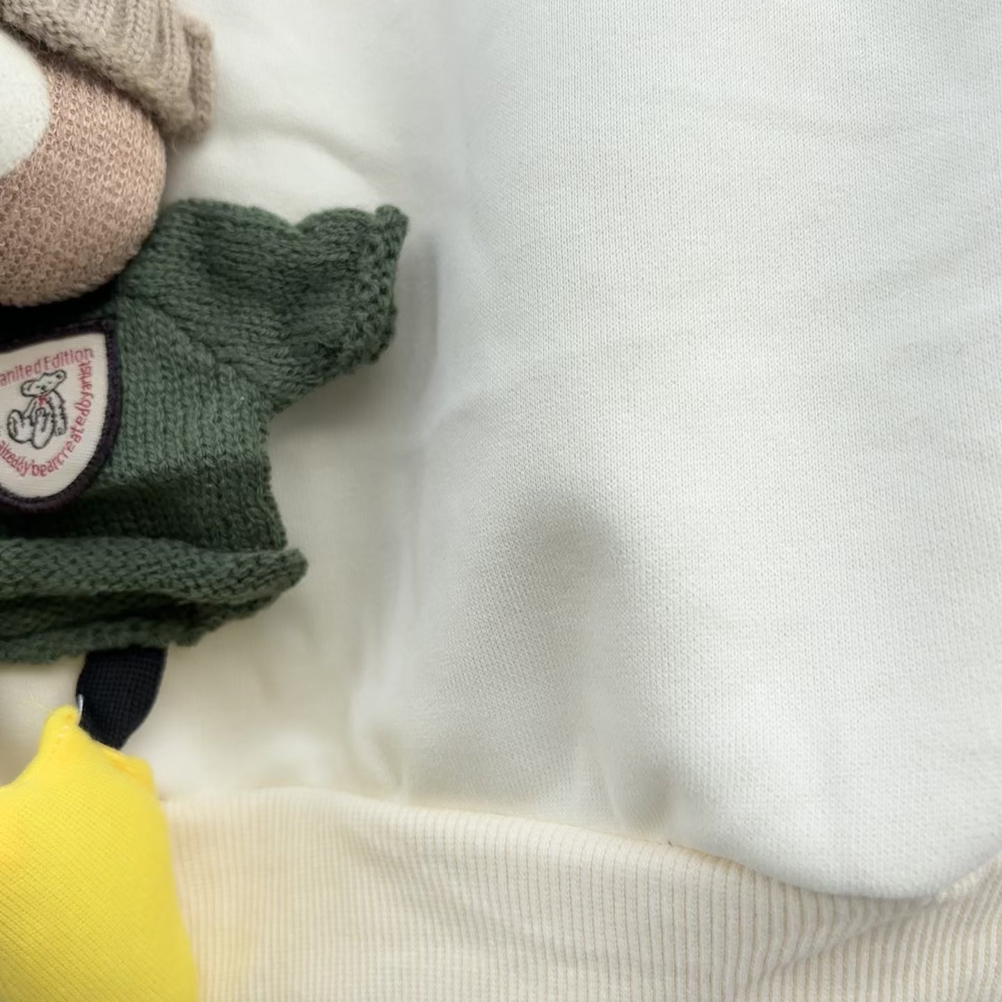Boys 3D Teddy Bear 2PC Sweatshirt & Trouser Set