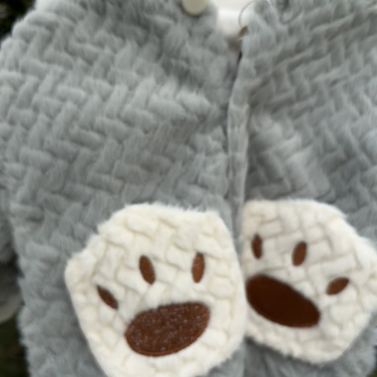 Baby Tiger Paw Hooded Shirt & Trouser 2PC Set