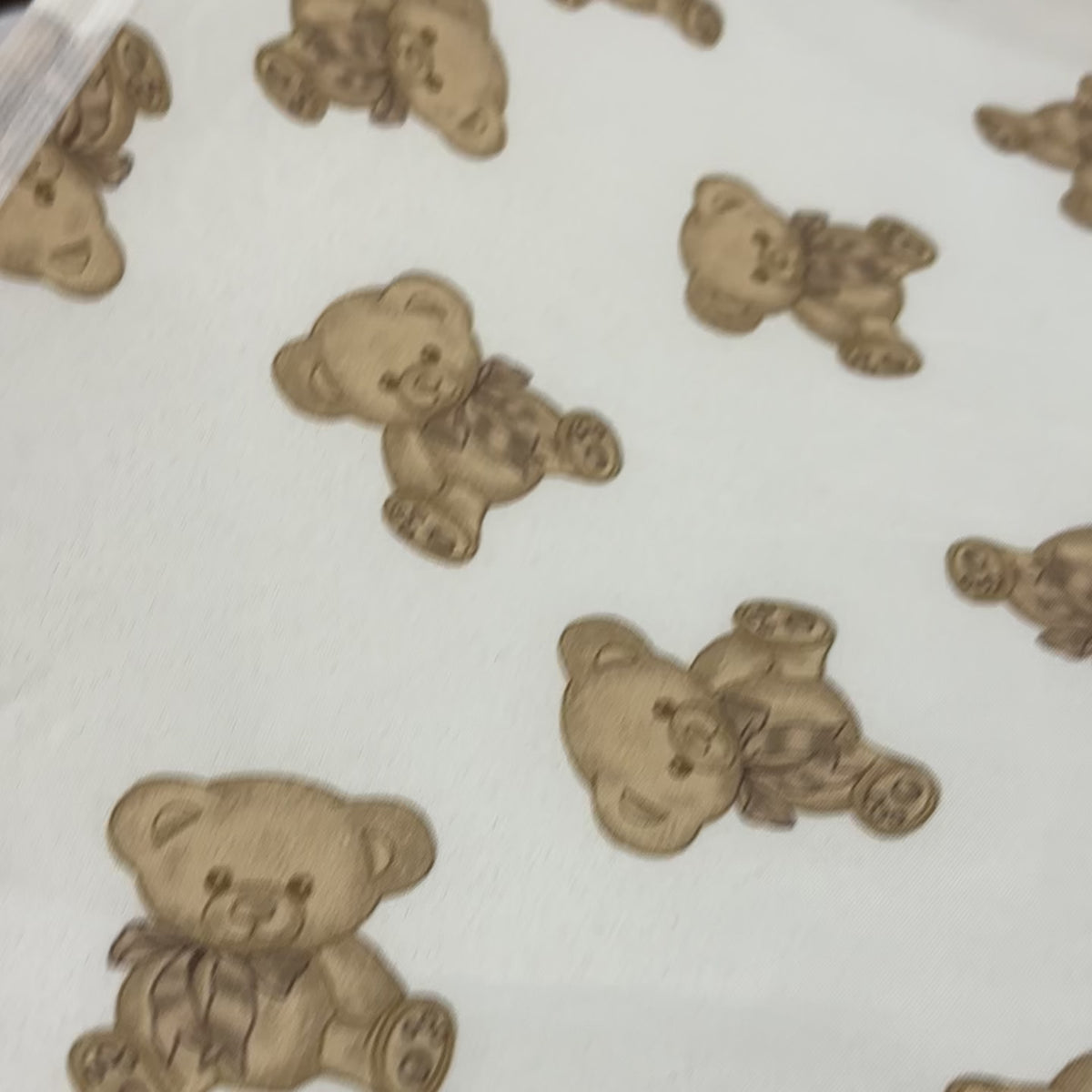 Baby Teddy Print Nest & Premium Bag Set