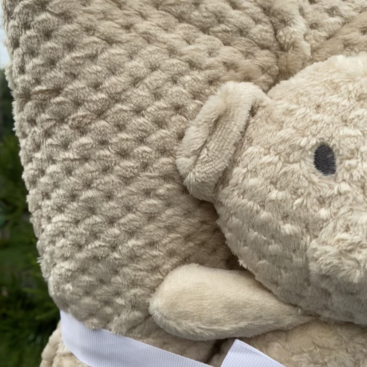Soft Bear Baby Blanket – 30×40 Inches