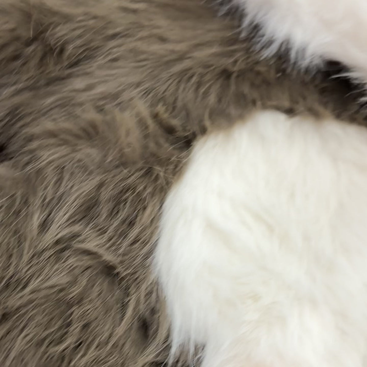 Kids Penguin Hooded Fur Jacket