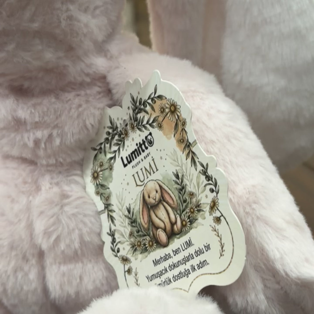 Floppy Ear Bunny Plush Soft Toy