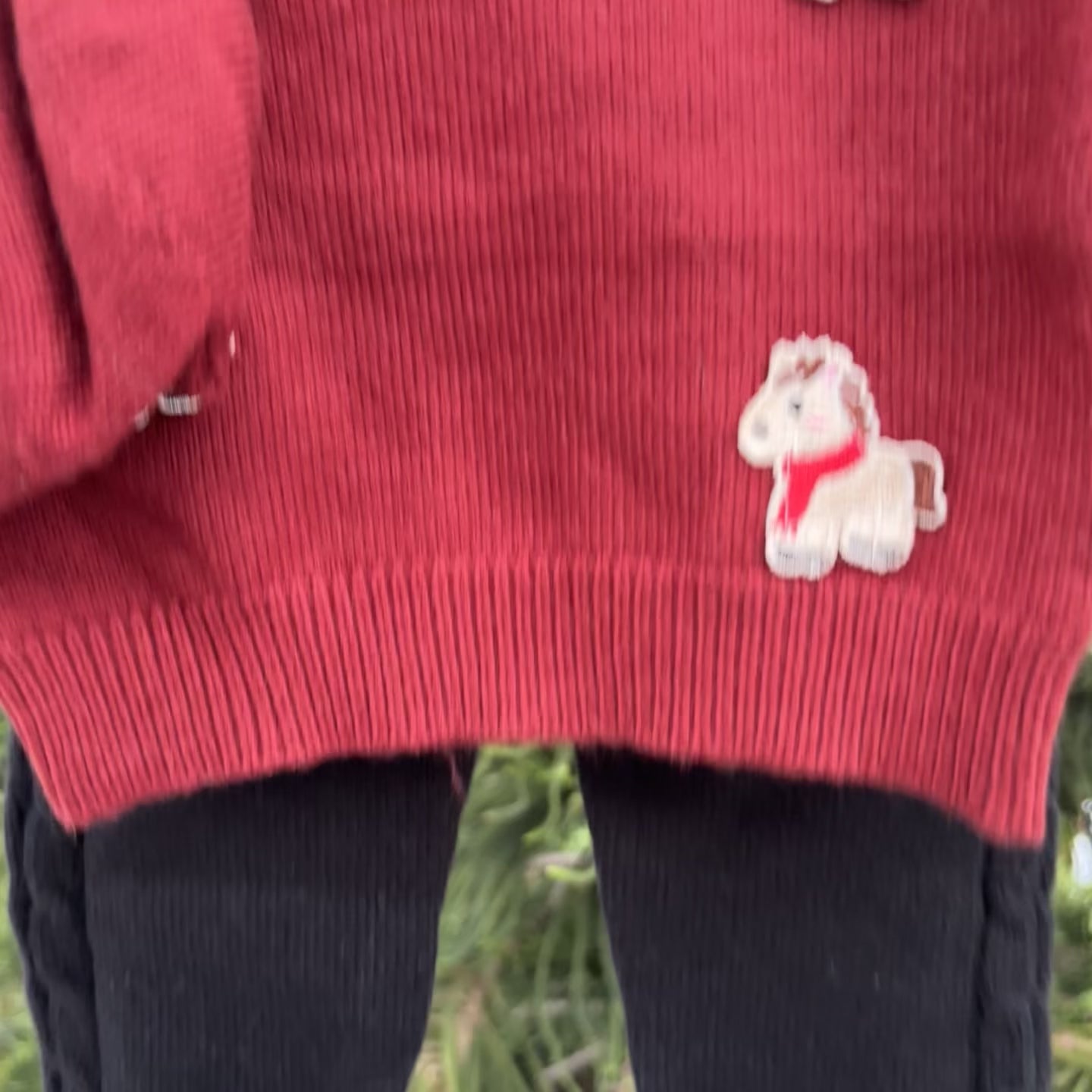 Baby 2-Piece Horse Knit Sweater & Trouser Set – 2 Colors