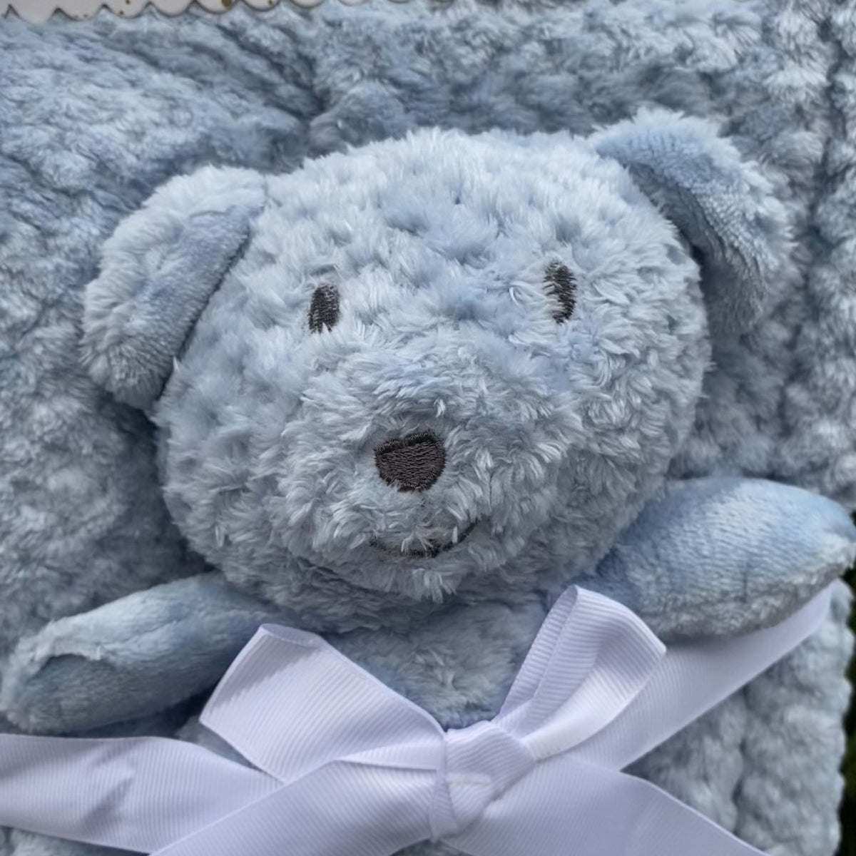 Soft Bear Baby Blanket – 30×40 Inches