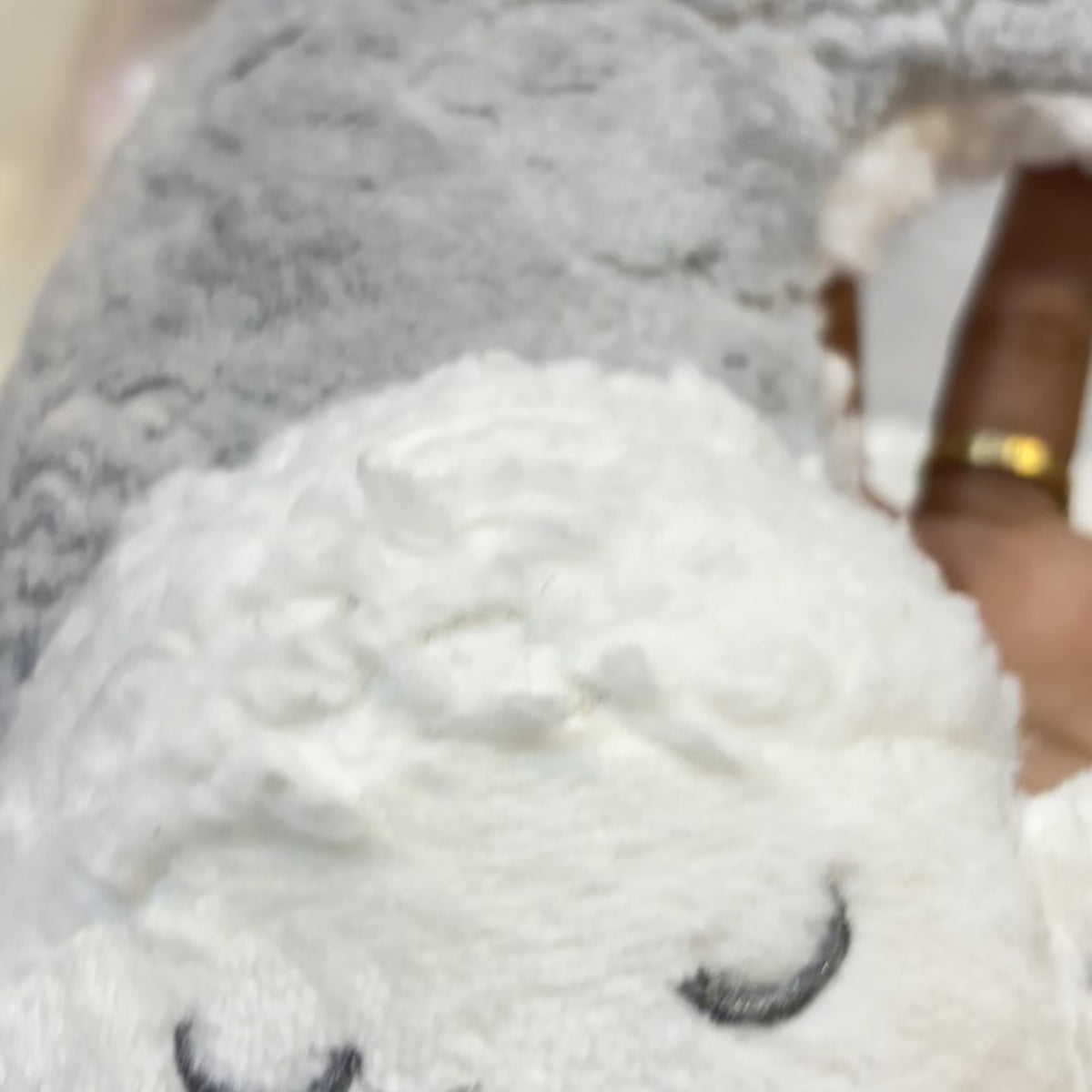 Baby Embossed Plush Blanket & Round Neck Pillow 2PC Set