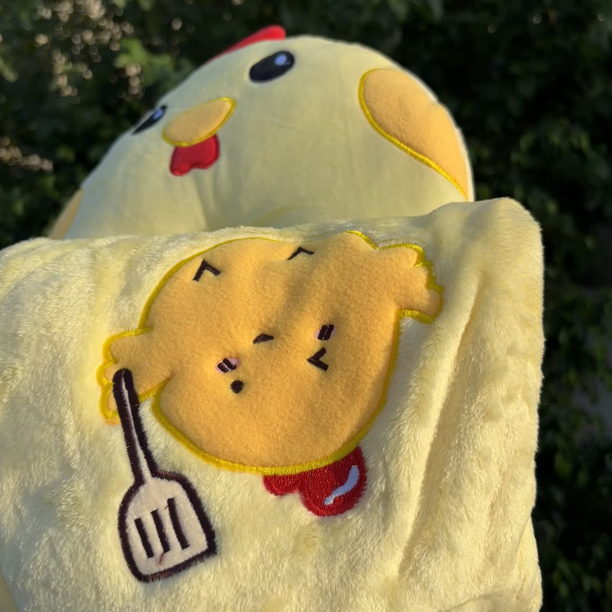 2-Piece Character Pillow & Baby Shawl Set – 5 Designs