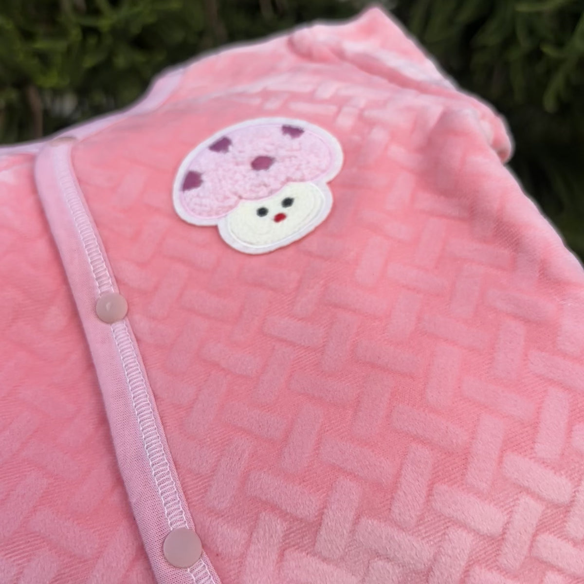Newborn 5PC Quilted Bear Starter Set
